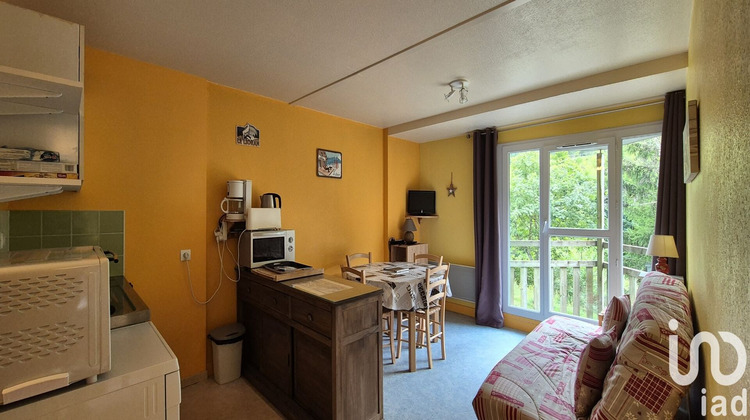 Ma-Cabane - Vente Appartement Laveissière, 30 m²