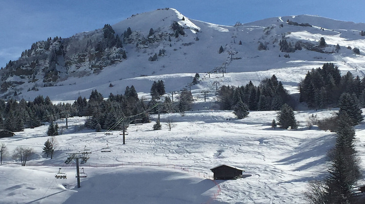 Ma-Cabane - Vente Appartement LE GRAND-BORNAND, 47 m²