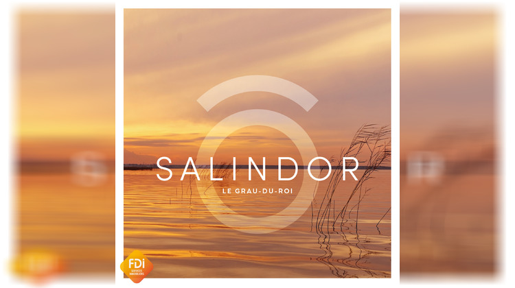 Ma-Cabane - Vente Appartement Le Grau-du-Roi, 63 m²