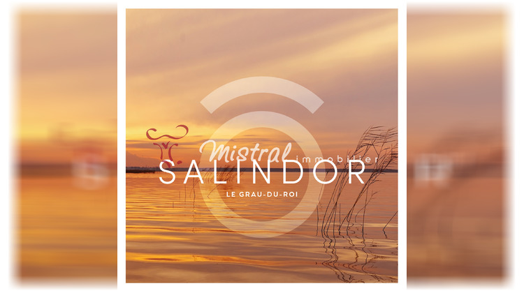 Ma-Cabane - Vente Appartement Le Grau-du-Roi, 91 m²