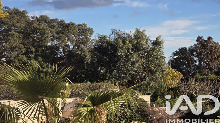 Ma-Cabane - Vente Appartement Le Lavandou, 34 m²