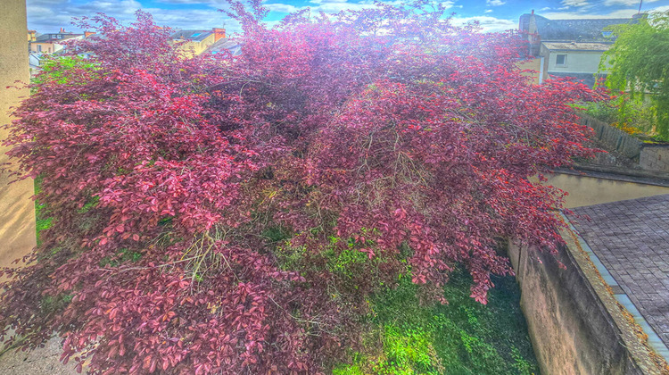 Ma-Cabane - Vente Appartement LE MANS, 20 m²