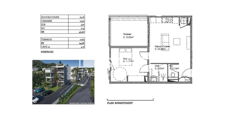 Ma-Cabane - Vente Appartement Le Marin, 45 m²