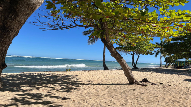 Ma-Cabane - Vente Appartement Le Moule, 28 m²