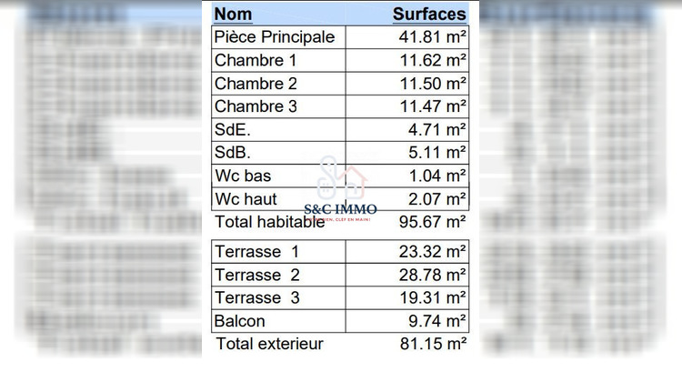 Ma-Cabane - Vente Appartement Le Perreux-sur-Marne, 100 m²
