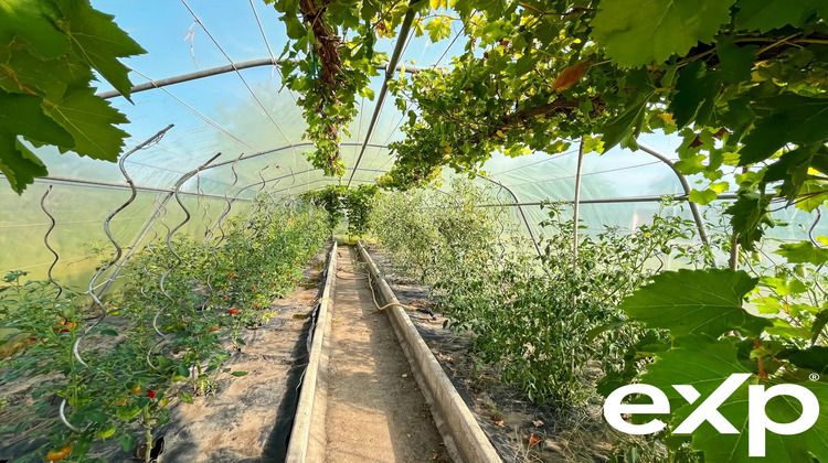 Ma-Cabane - Vente Appartement Les Grandes-Ventes, 110 m²