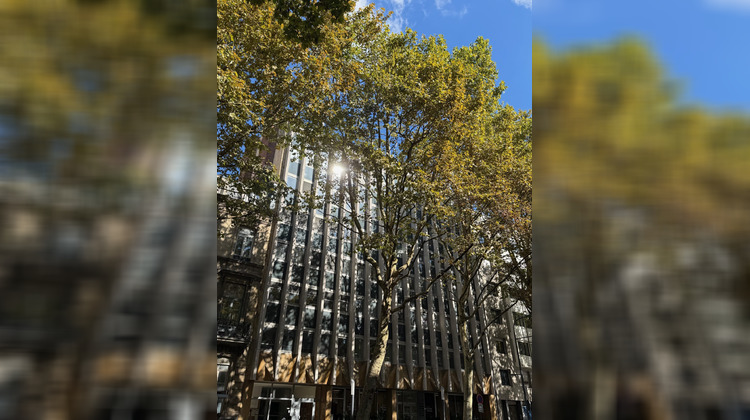 Ma-Cabane - Vente Appartement Lille, 41 m²