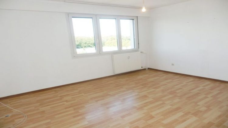 Ma-Cabane - Vente Appartement Lingolsheim, 25 m²