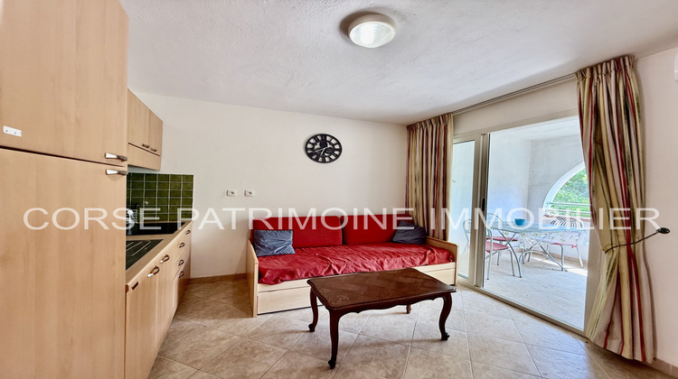 Ma-Cabane - Vente Appartement Linguizzetta, 25 m²