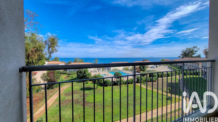 Ma-Cabane - Vente Appartement Linguizzetta, 32 m²