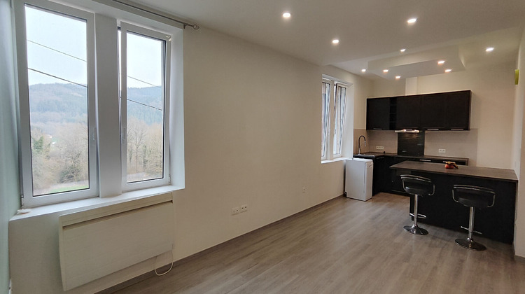 Ma-Cabane - Vente Appartement LUTZELHOUSE, 65 m²