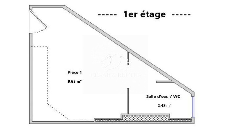 Ma-Cabane - Vente Appartement Lyon 06, 12 m²