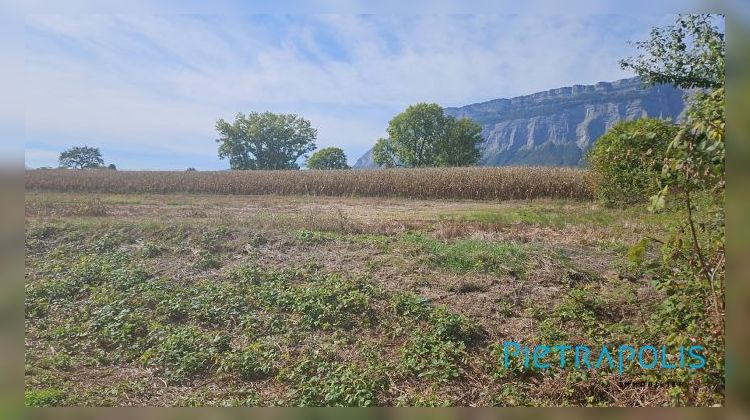 Ma-Cabane - Vente Appartement Lyon, 451 m²