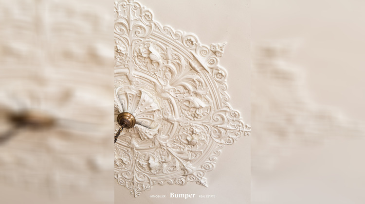 Ma-Cabane - Vente Appartement Lyon, 255 m²