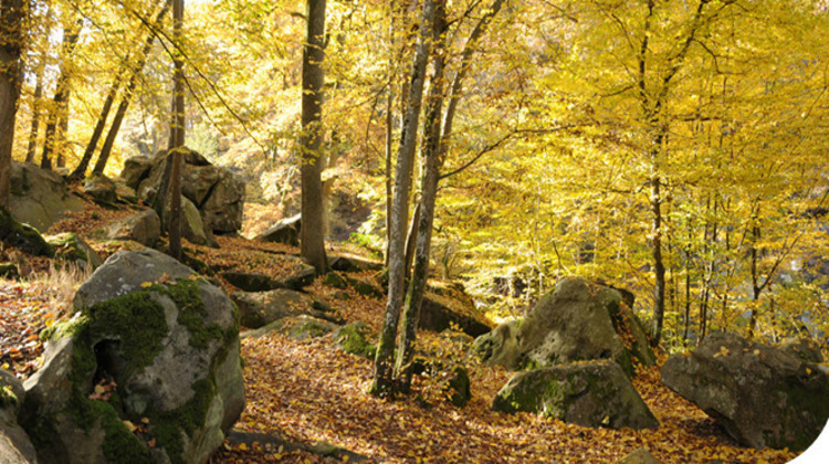 Ma-Cabane - Vente Appartement Magnanville, 64 m²