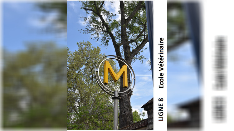 Ma-Cabane - Vente Appartement Maisons-Alfort, 64 m²