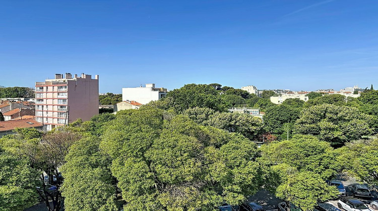 Ma-Cabane - Vente Appartement MARSEILLE 10, 51 m²