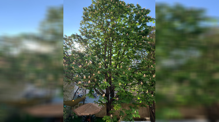 Ma-Cabane - Vente Appartement Marseille, 136 m²