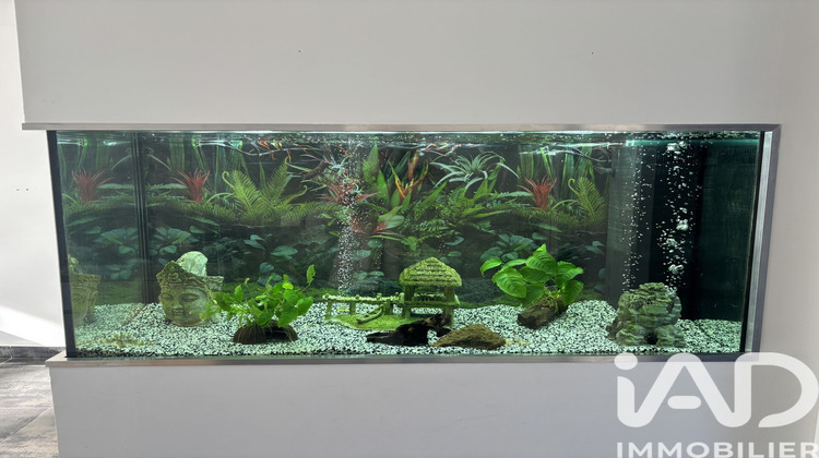 Ma-Cabane - Vente Appartement Marseille, 73 m²