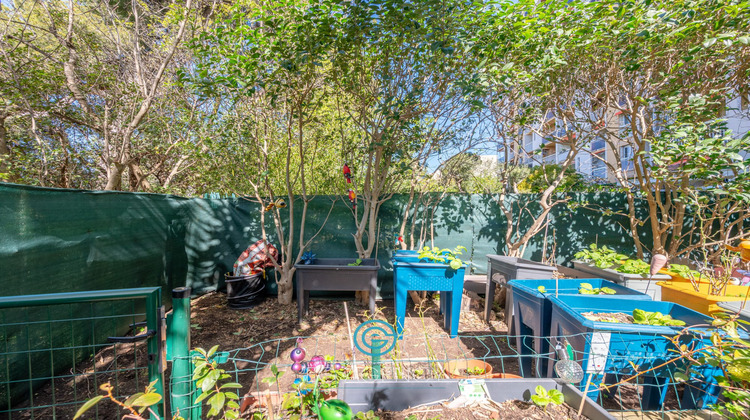 Ma-Cabane - Vente Appartement Marseille, 51 m²