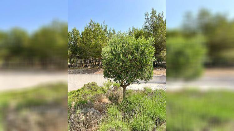 Ma-Cabane - Vente Appartement MARTIGUES, 52 m²