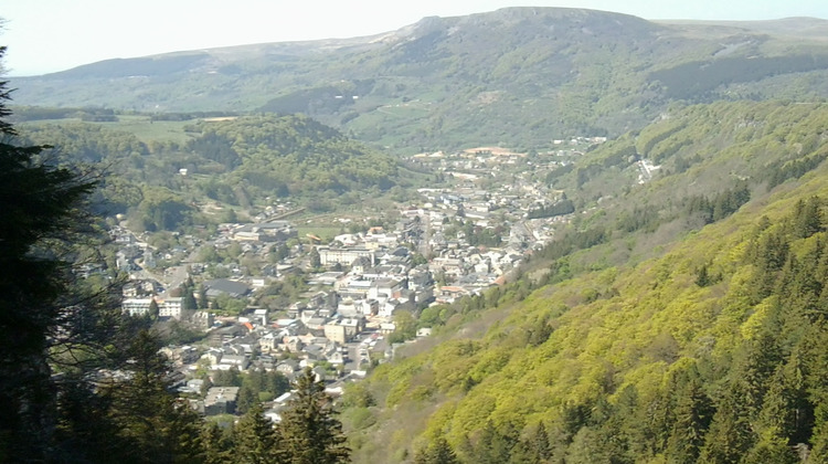 Ma-Cabane - Vente Appartement Mont-Dore, 44 m²