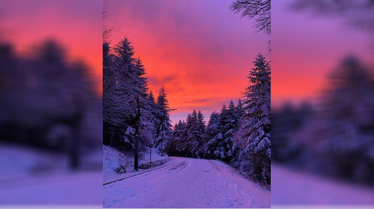 Ma-Cabane - Vente Appartement Mont-Dore, 44 m²