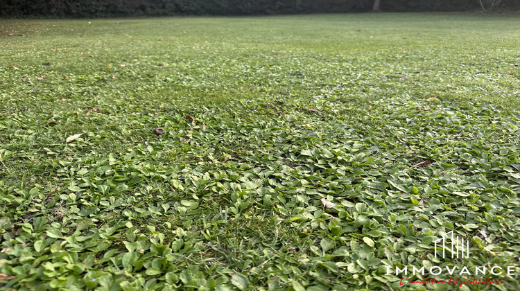 Ma-Cabane - Vente Appartement Montpellier, 870 m²