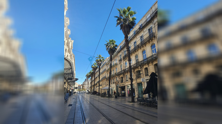 Ma-Cabane - Vente Appartement Montpellier, 86 m²