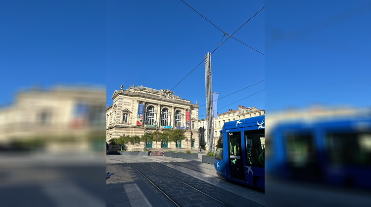 Ma-Cabane - Vente Appartement Montpellier, 141 m²