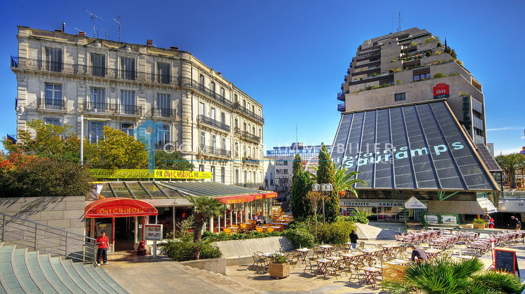 Ma-Cabane - Vente Appartement Montpellier, 43 m²