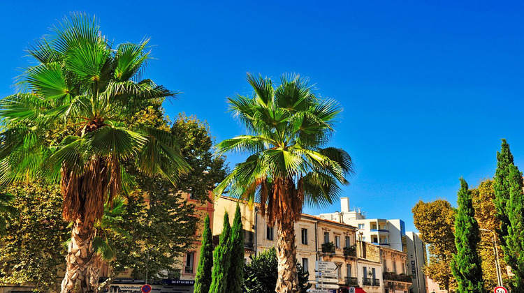 Ma-Cabane - Vente Appartement Montpellier, 22 m²