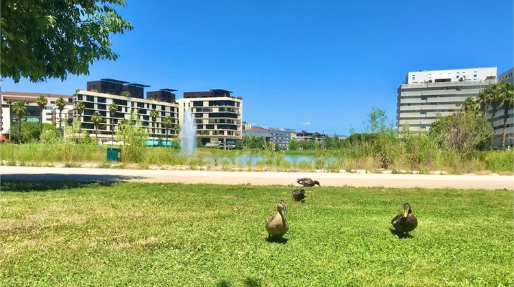 Ma-Cabane - Vente Appartement MONTPELLIER, 50 m²