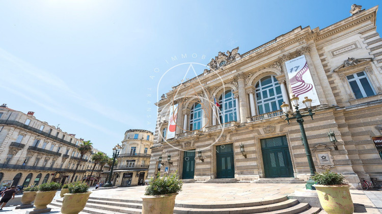 Ma-Cabane - Vente Appartement Montpellier, 34 m²