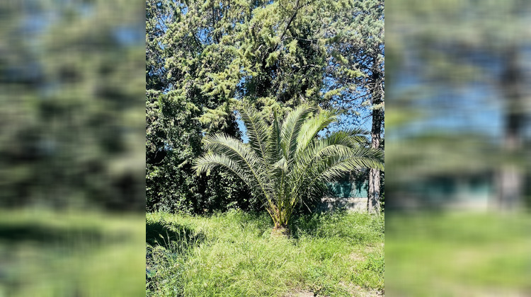 Ma-Cabane - Vente Appartement Montpellier, 44 m²