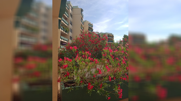 Ma-Cabane - Vente Appartement Montpellier, 110 m²