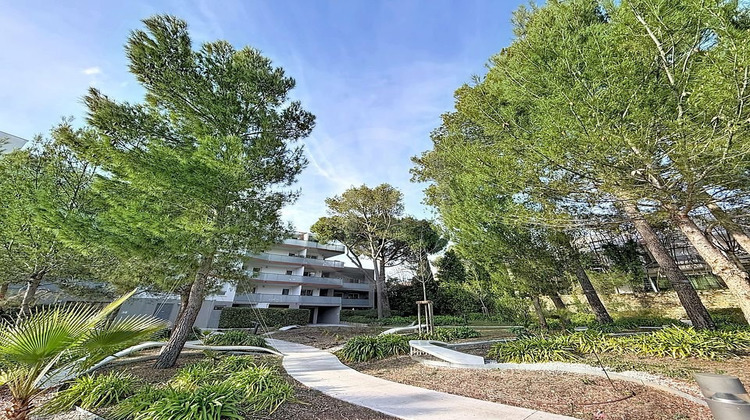 Ma-Cabane - Vente Appartement MONTPELLIER, 76 m²