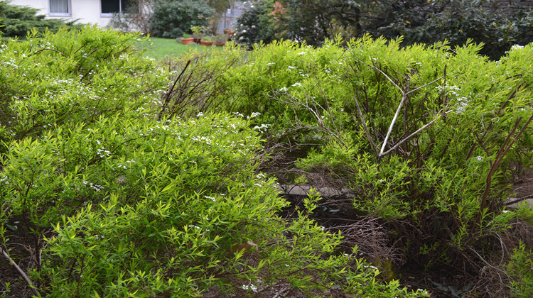 Ma-Cabane - Vente Appartement NANTES, 62 m²