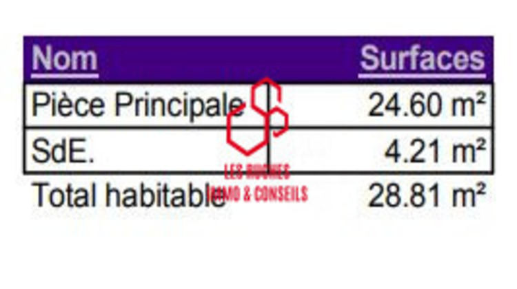 Ma-Cabane - Vente Appartement Neuilly-Plaisance, 30 m²