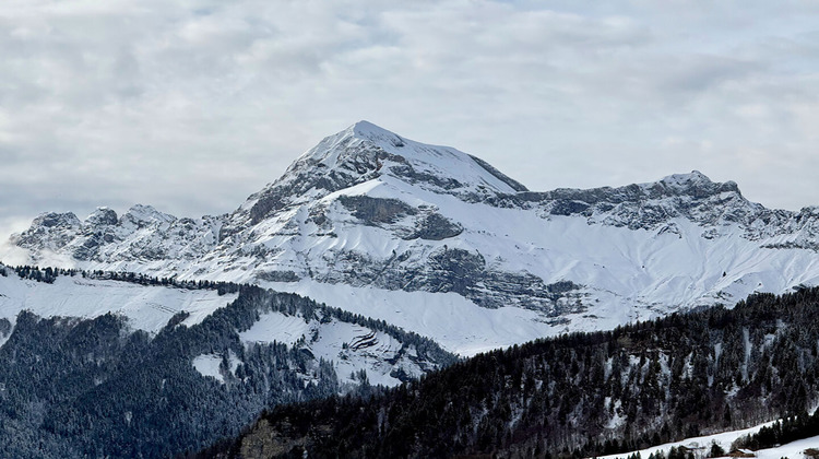 Ma-Cabane - Vente Appartement NOTRE-DAME-DE-BELLECOMBE, 59 m²