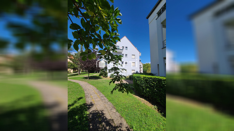 Ma-Cabane - Vente Appartement Obernai, 36 m²