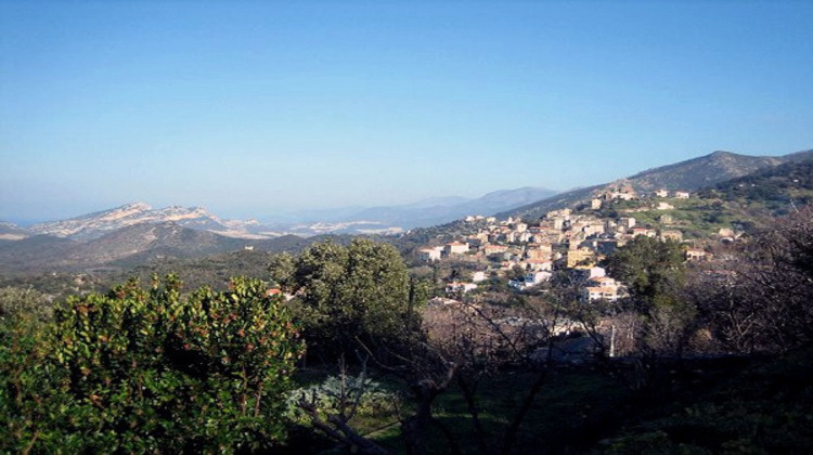 Ma-Cabane - Vente Appartement Oletta, 70 m²