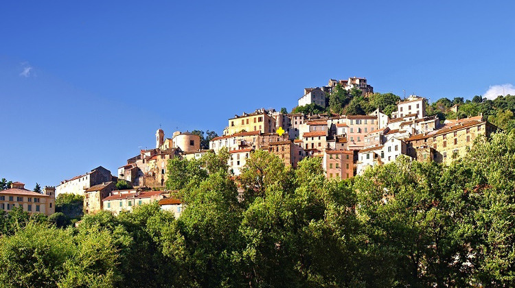 Ma-Cabane - Vente Appartement Oletta, 90 m²