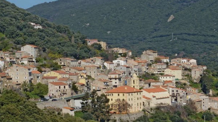 Ma-Cabane - Vente Appartement OLMETO, 28 m²