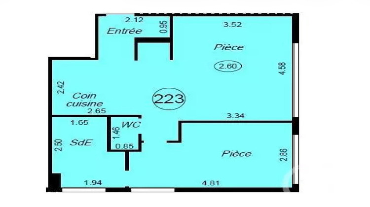 Ma-Cabane - Vente Appartement PARIS 12, 48 m²