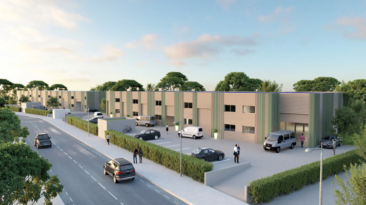 Ma-Cabane - Vente Appartement Perpignan, 189 m²