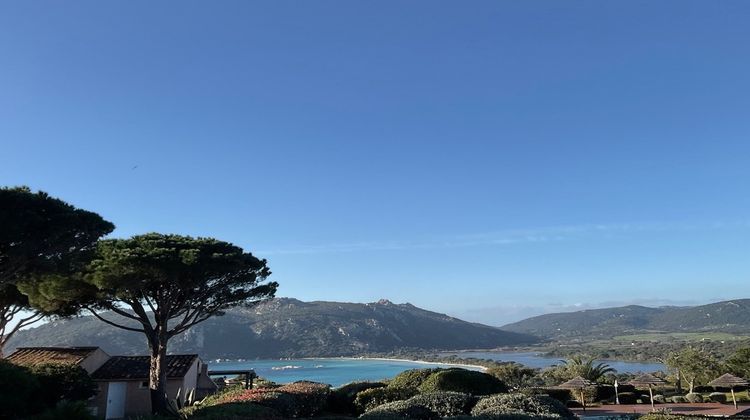 Ma-Cabane - Vente Appartement Porto-Vecchio, 49 m²