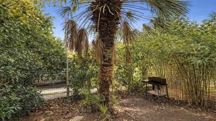 Ma-Cabane - Vente Appartement PORTO VECCHIO, 35 m²