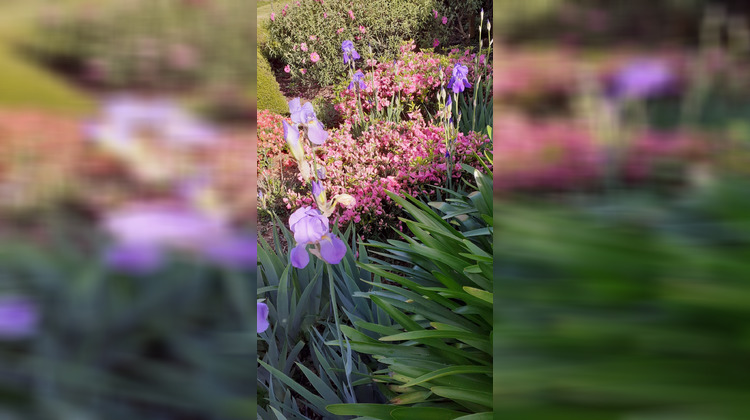 Ma-Cabane - Vente Appartement Préfailles, 238 m²