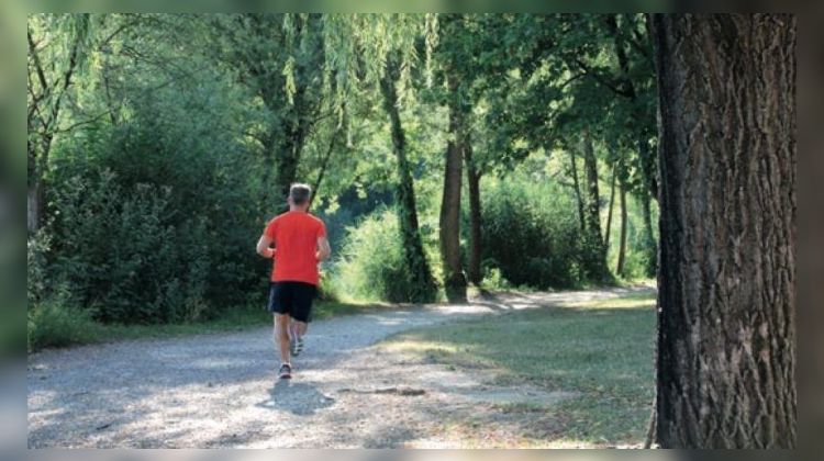 Ma-Cabane - Vente Appartement Rumilly, 78 m²